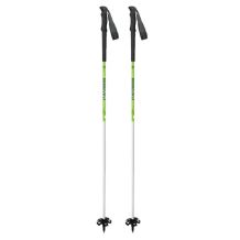 MOVEMENT TOURING PERFORMANCE GREEN NOWE KIJE KIJKI SKITOUROWE DŁUGOŚĆ 135 CM <is>